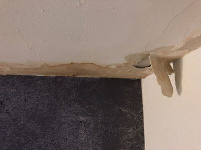 Professional mold remediation services in Dayton